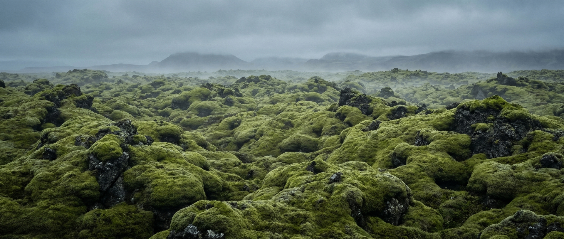 Eldhraun: The Mossy Realm